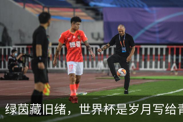 绿茵藏旧绪，世界杯是岁月写给青春的信